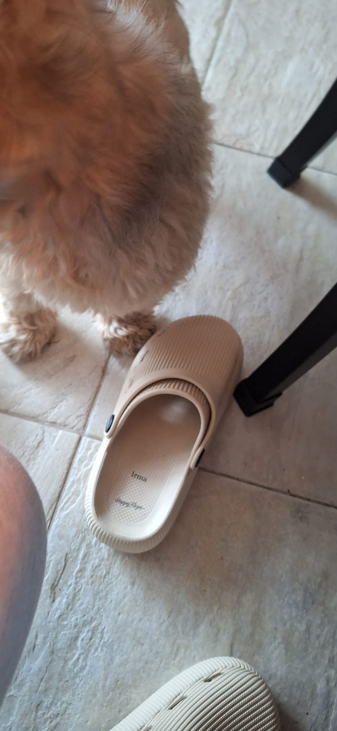 Customer photo review of HappyClogs Original