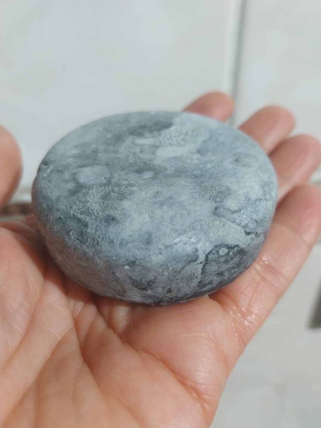Customer photo review of Shampoo Anticaspa Grasa en Barra