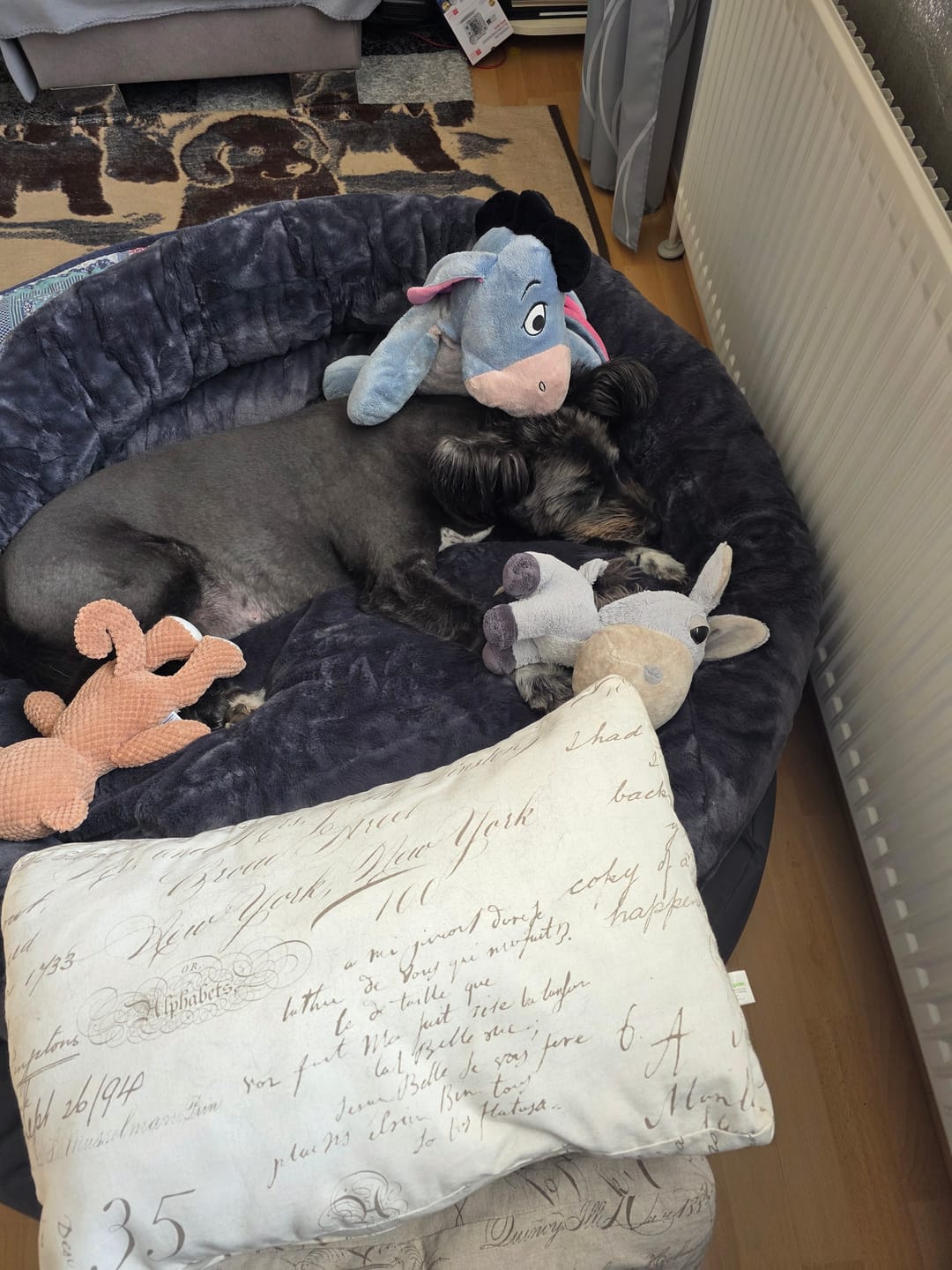 Customer photo review of Orthopädisches Hundebett Deluxe