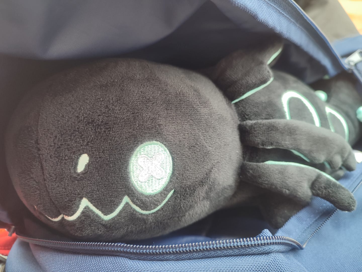 Customer photo review of Rain World - Glowing Cyan Lizard Plush