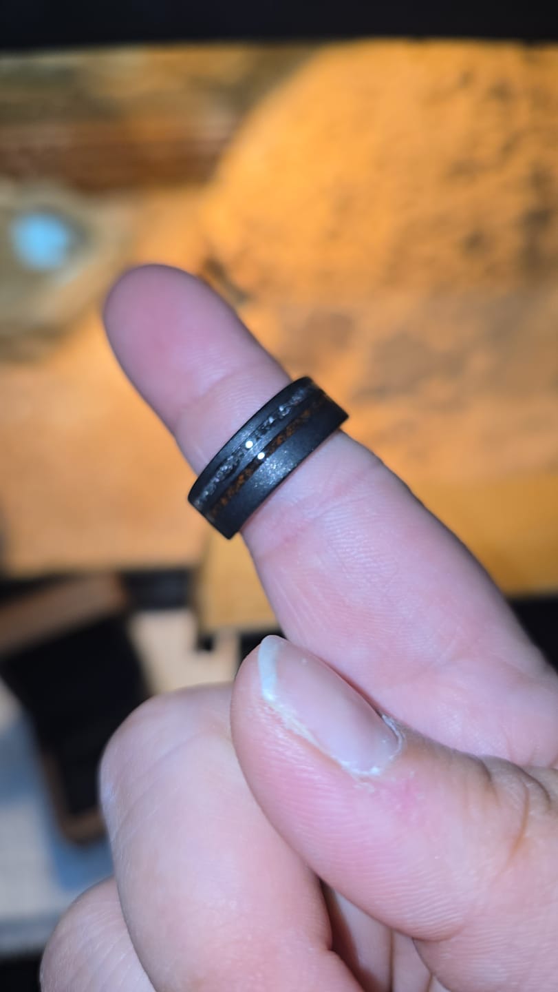 Customer photo review of The Meteorsaur
