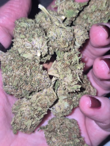 Customer photo review of Cheap THCA Flower Ounce