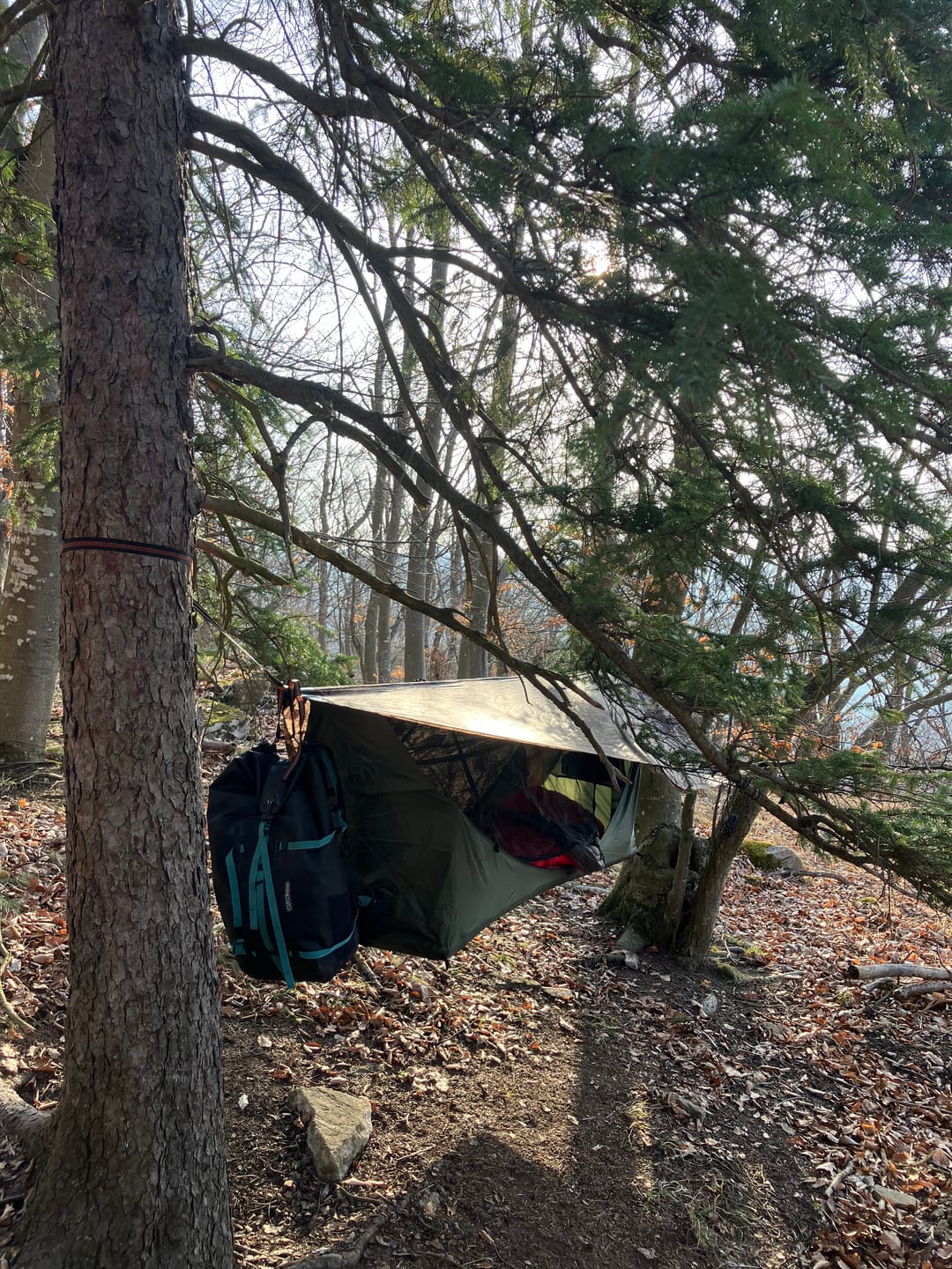 Customer photo review of Haven Tent Pad