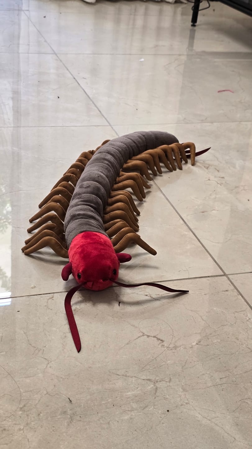Customer photo review of Chinese Red-Headed Centipede Stuffed Plush Toy