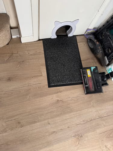 Customer photo review of 1 Month Supply – 2 Cat