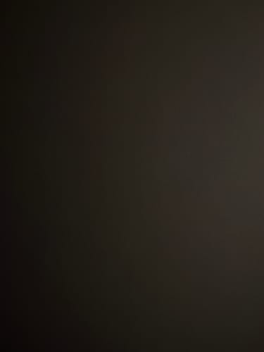 Customer's review image for the RHINESTONE SHORTS, which is completely dark and shows no detail.