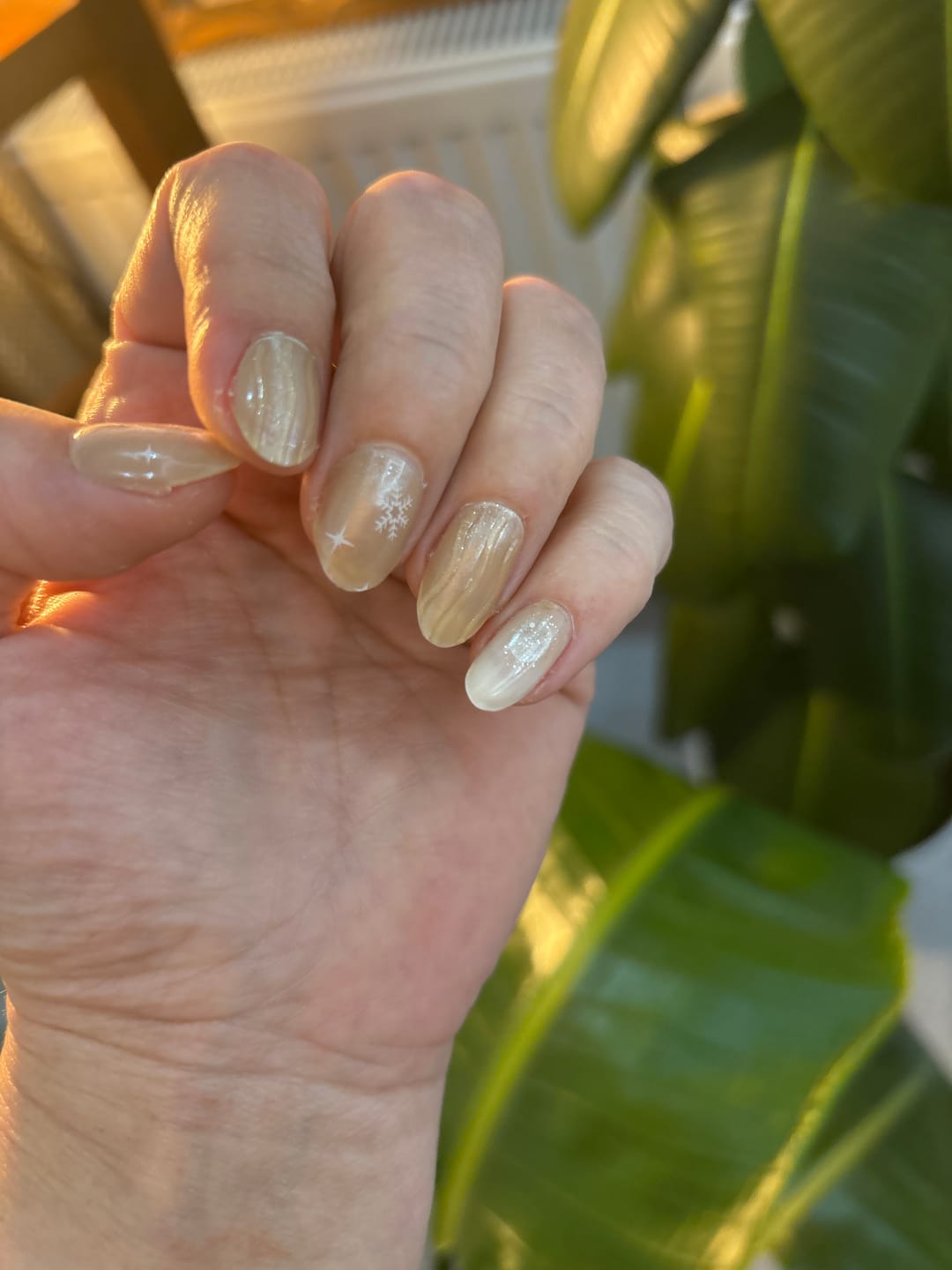 Customer photo review of N Crystal Frost Jel Tırnak 30 Adet, 2 Kullanım