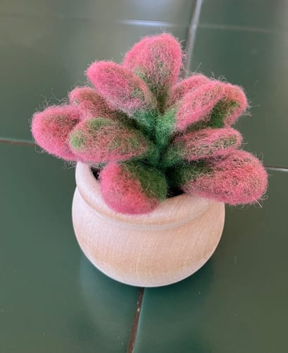 Customer photo review of Sunrise Succulent Mini Needle Felting Kit