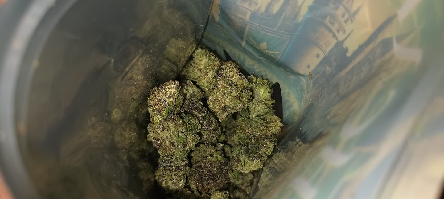 Customer photo review of THCA Pre-Roll