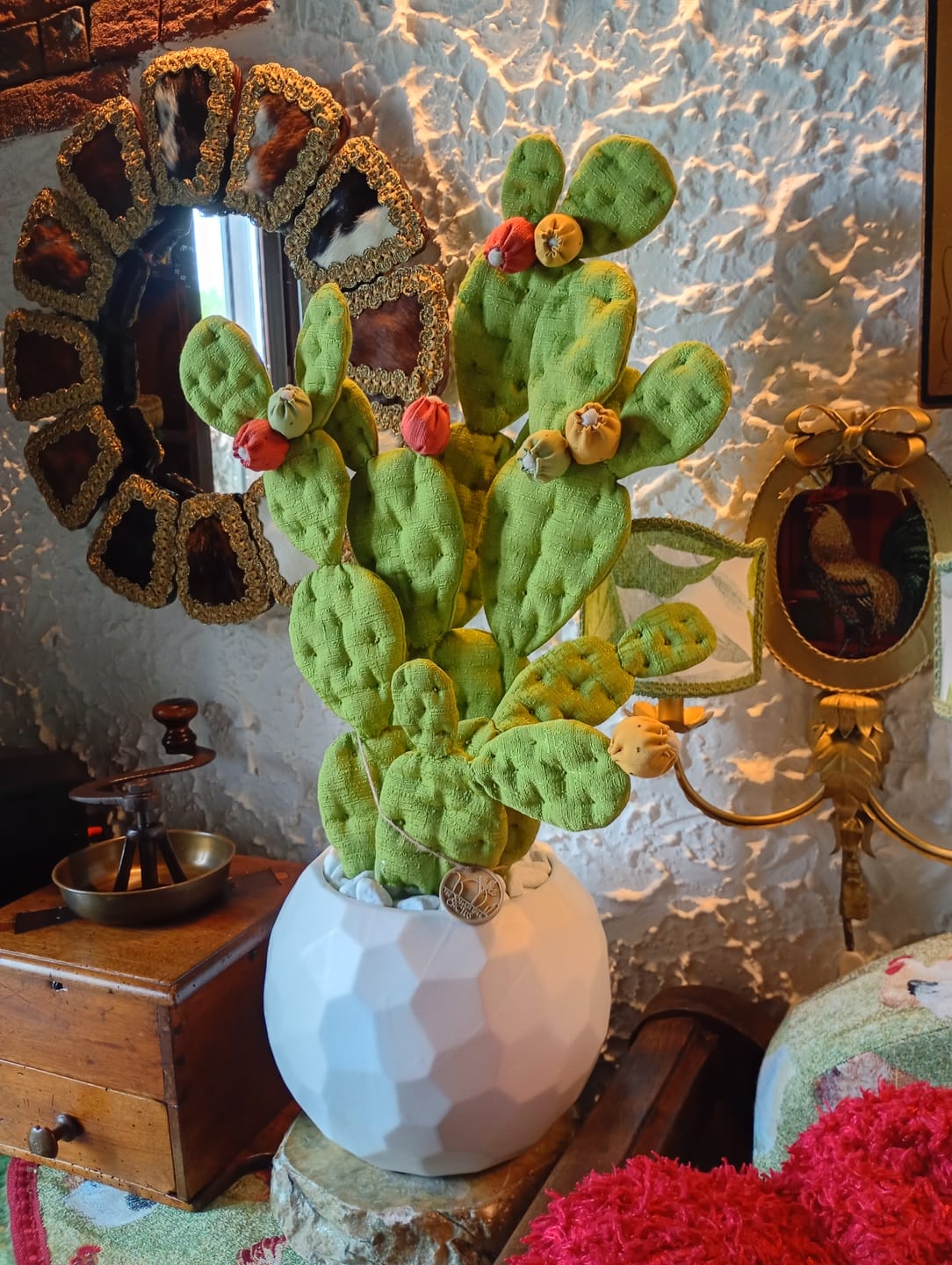 Customer photo review of Opuntia Oversize 80 cm circa - DISPONIBILE SU ORDINAZIONE - tempo di consegna: 3 settimane data ordine