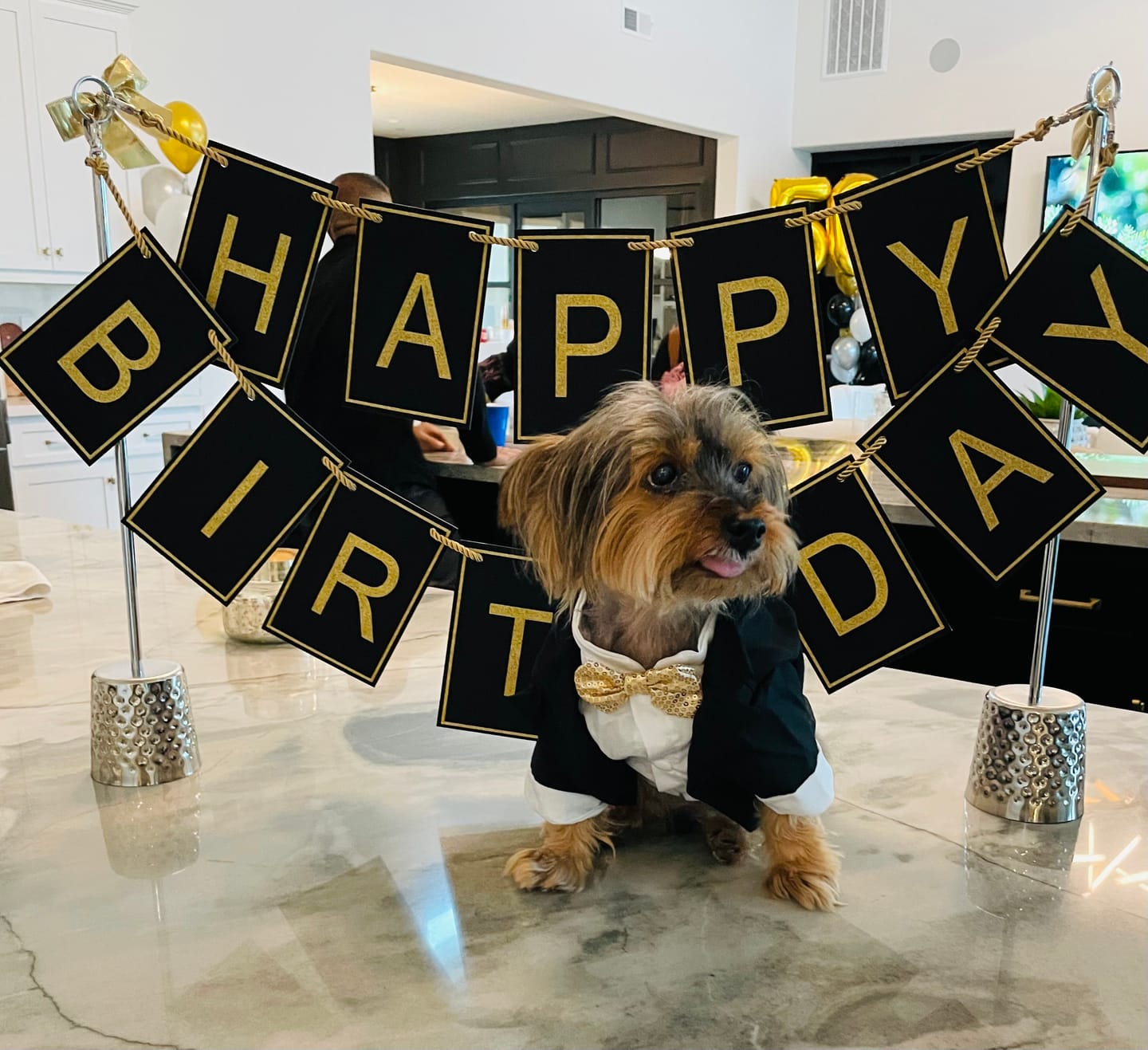 Customer photo review of Black and Gold Birthday Banner