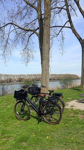 Customer photo review of Cargo Plus D7