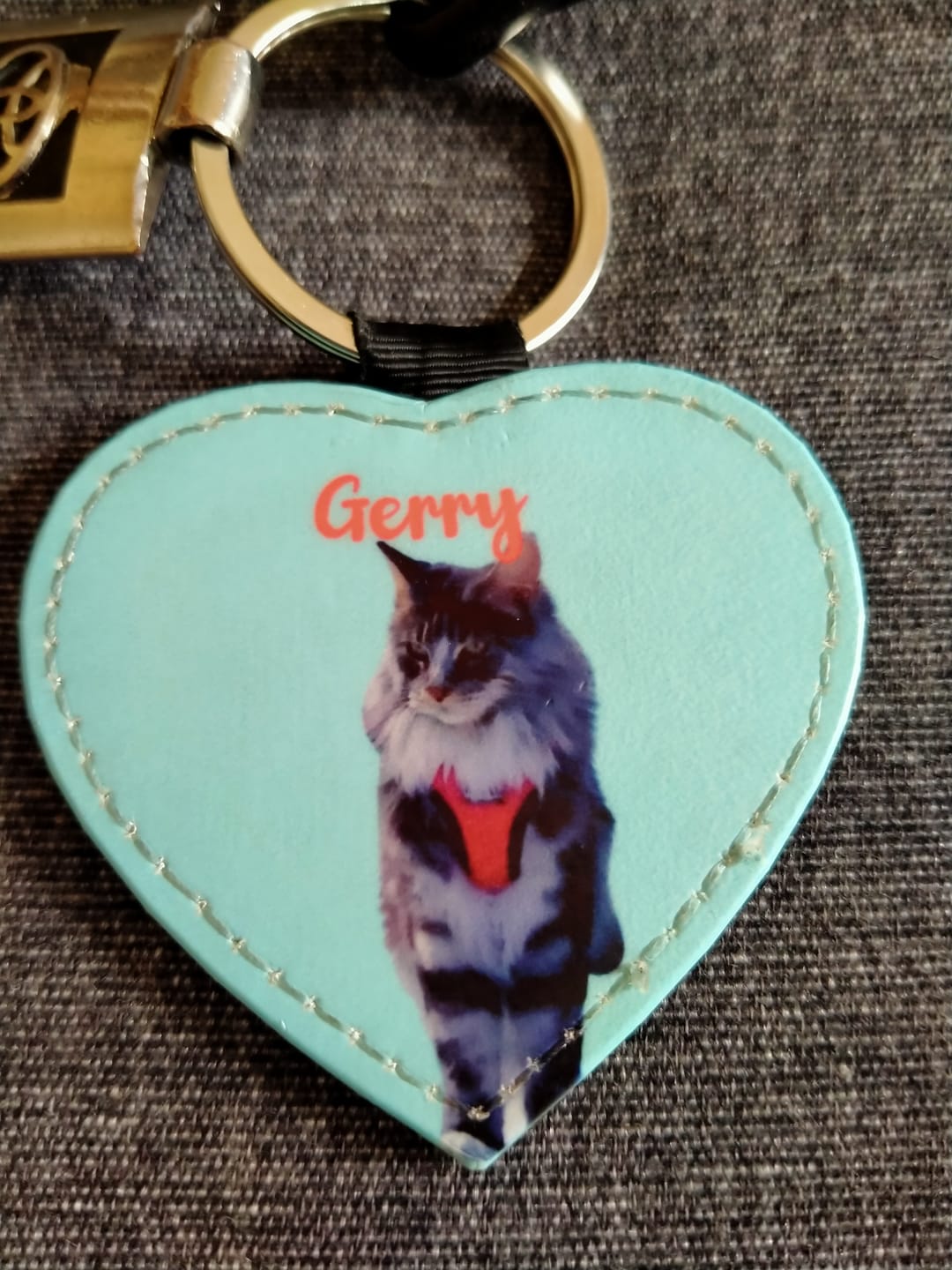 Customer photo review of Ritratto animale domestico - Portachiavi personalizzato