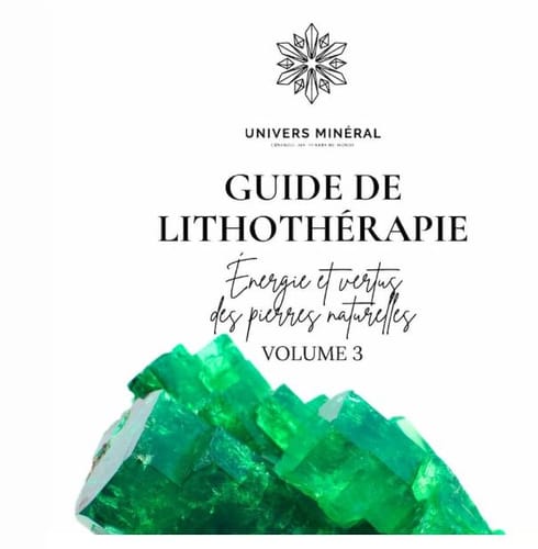 Un client montre la couverture du 'Guide de Lithothérapie vol. 3' ornée de cristaux verts éclatants.