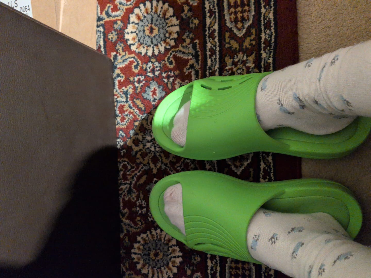 Customer photo review of Enertor Recovery Slides