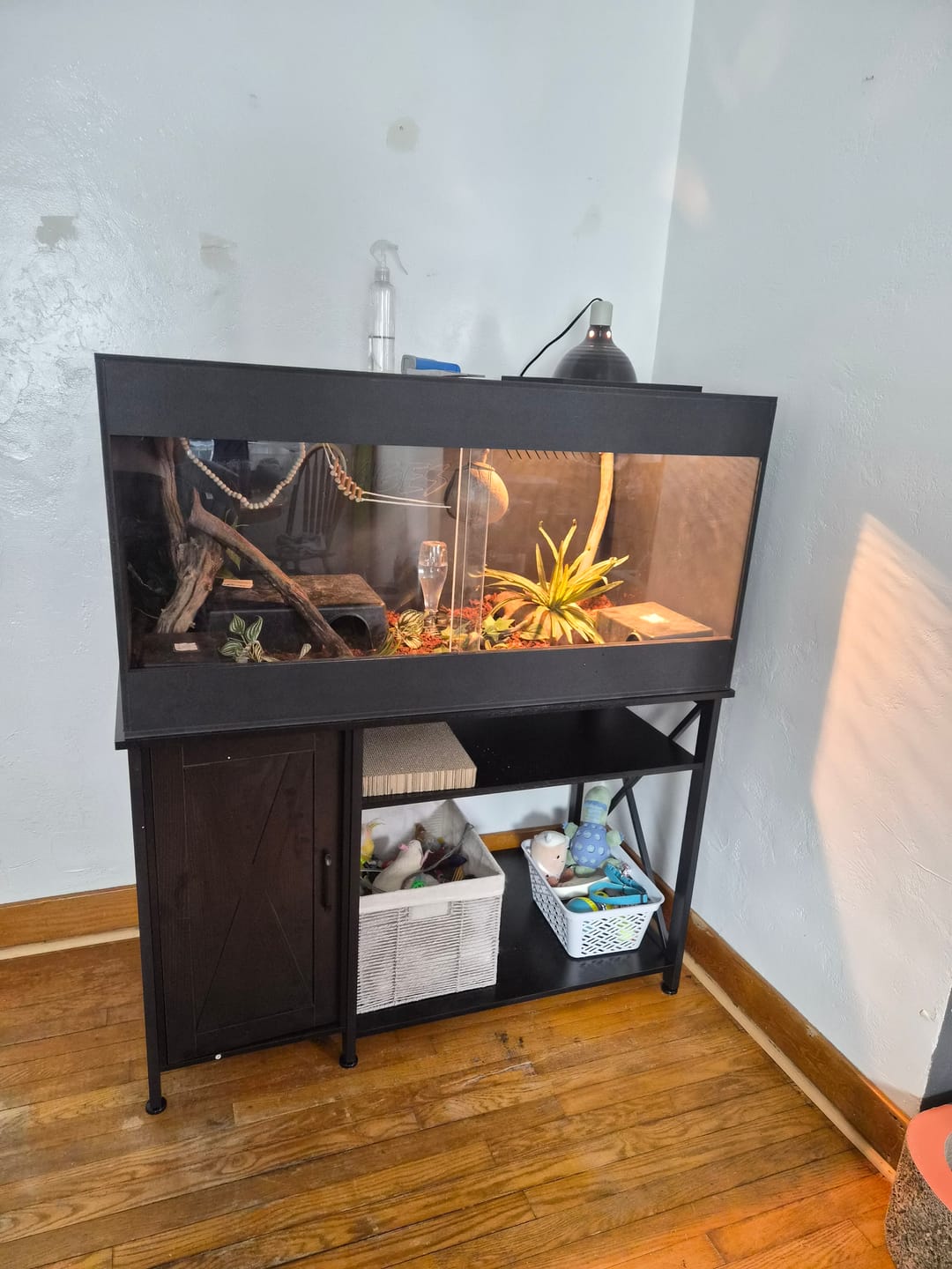 Customer photo review of 48"x24"x24" / 4'x2'x2' Premium PVC Reptile Enclosure