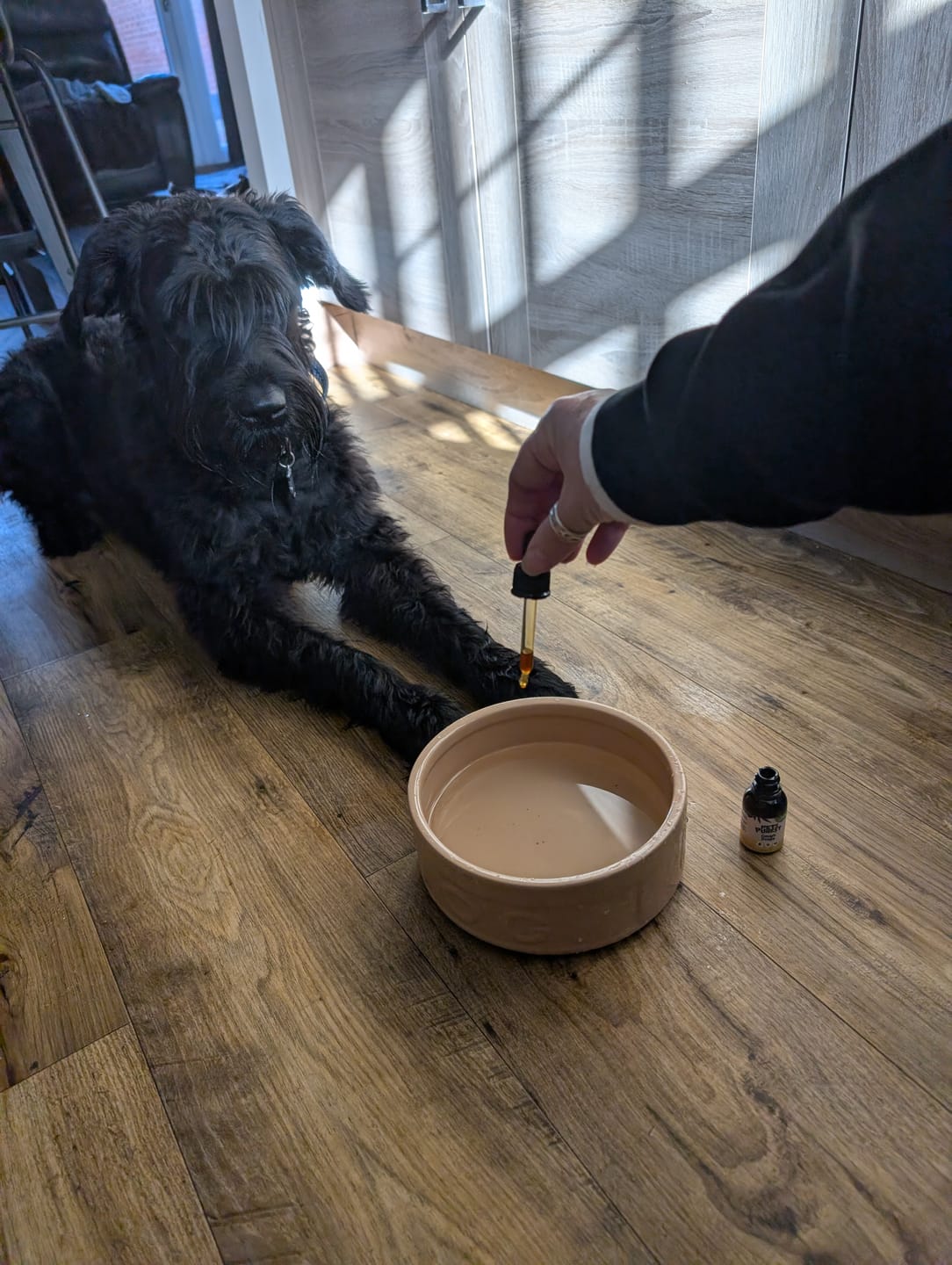 Customer photo review of Cough Drops for Dogs and Cats | 30ml