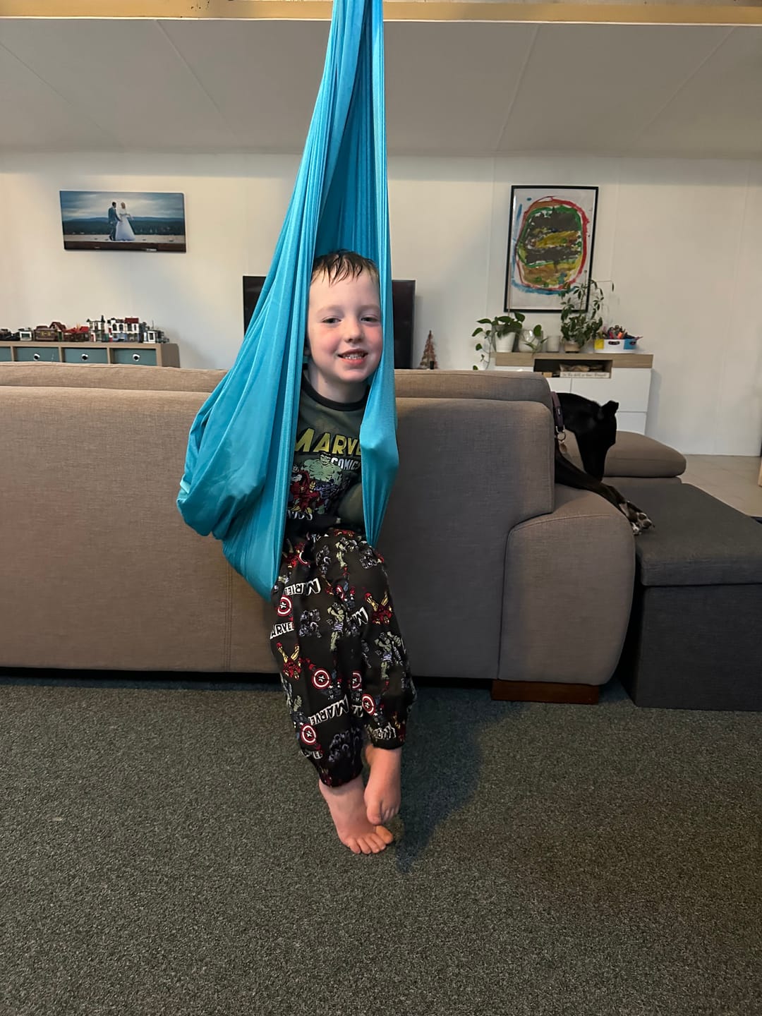 Customer photo review of NeuroCalm™ Premium Sensory Swing
