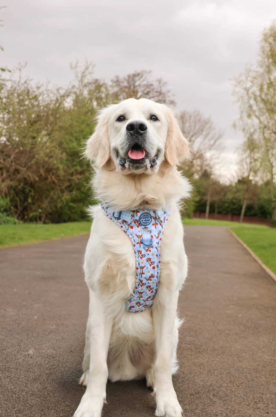 Customer photo review of Disney© Tough Trails™ Harness - Tigger