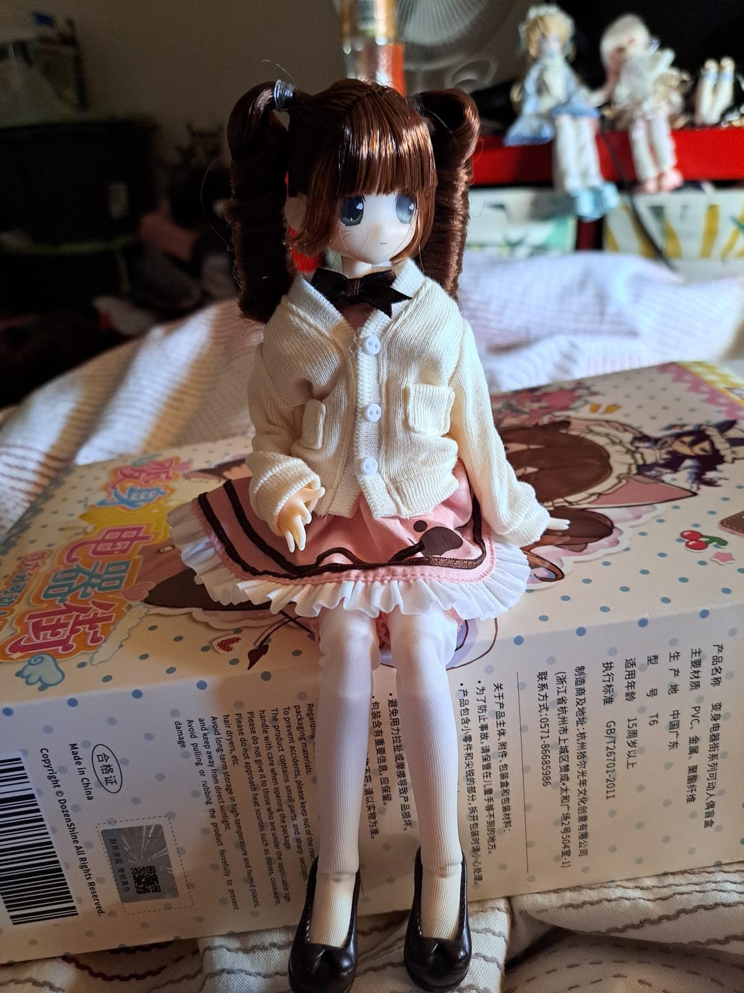 Customer photo review of Transform Electrical Street Series 1/6 Action Figure BJD Blind Box