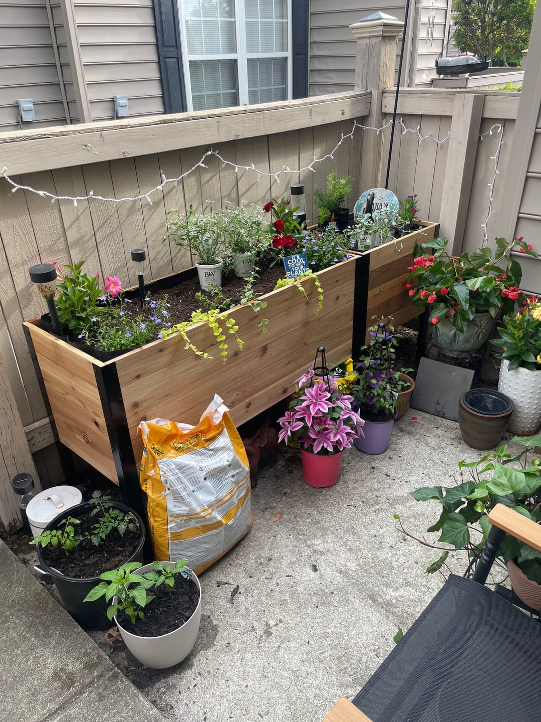 Customer photo review of 18″ x 24″ Raised Garden Bed - 30" TALL / Garden Grade