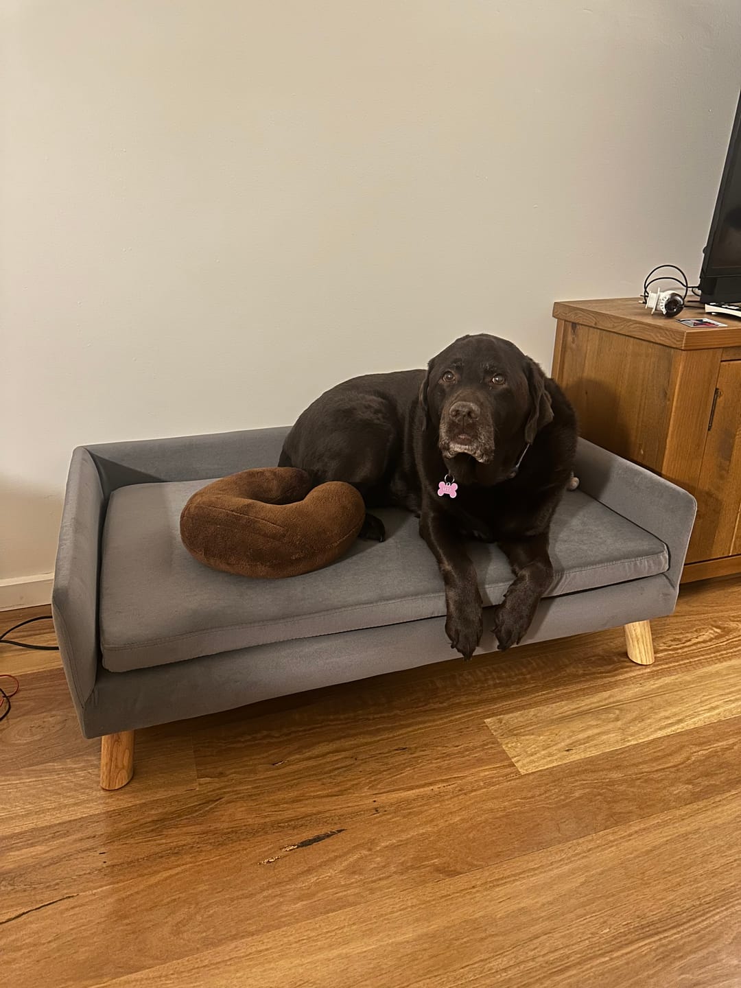 Customer photo review of Dog Sofa Bed Pet Lounge Couch