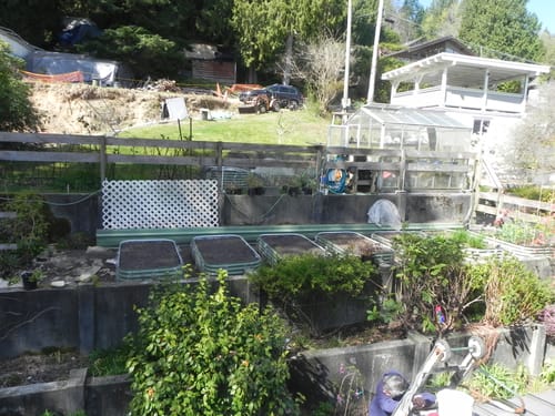 Reviewer's nine green 17” Tall Modular garden beds filled with soil and set up on a terraced patio, ready for planting.
