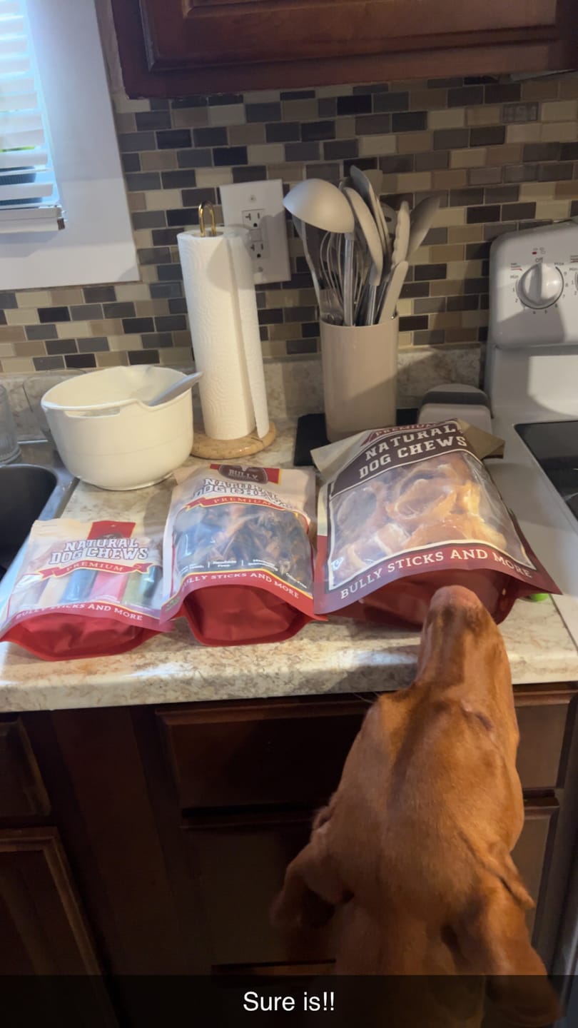 Customer photo review of 6 Inch Monster Bully Stick