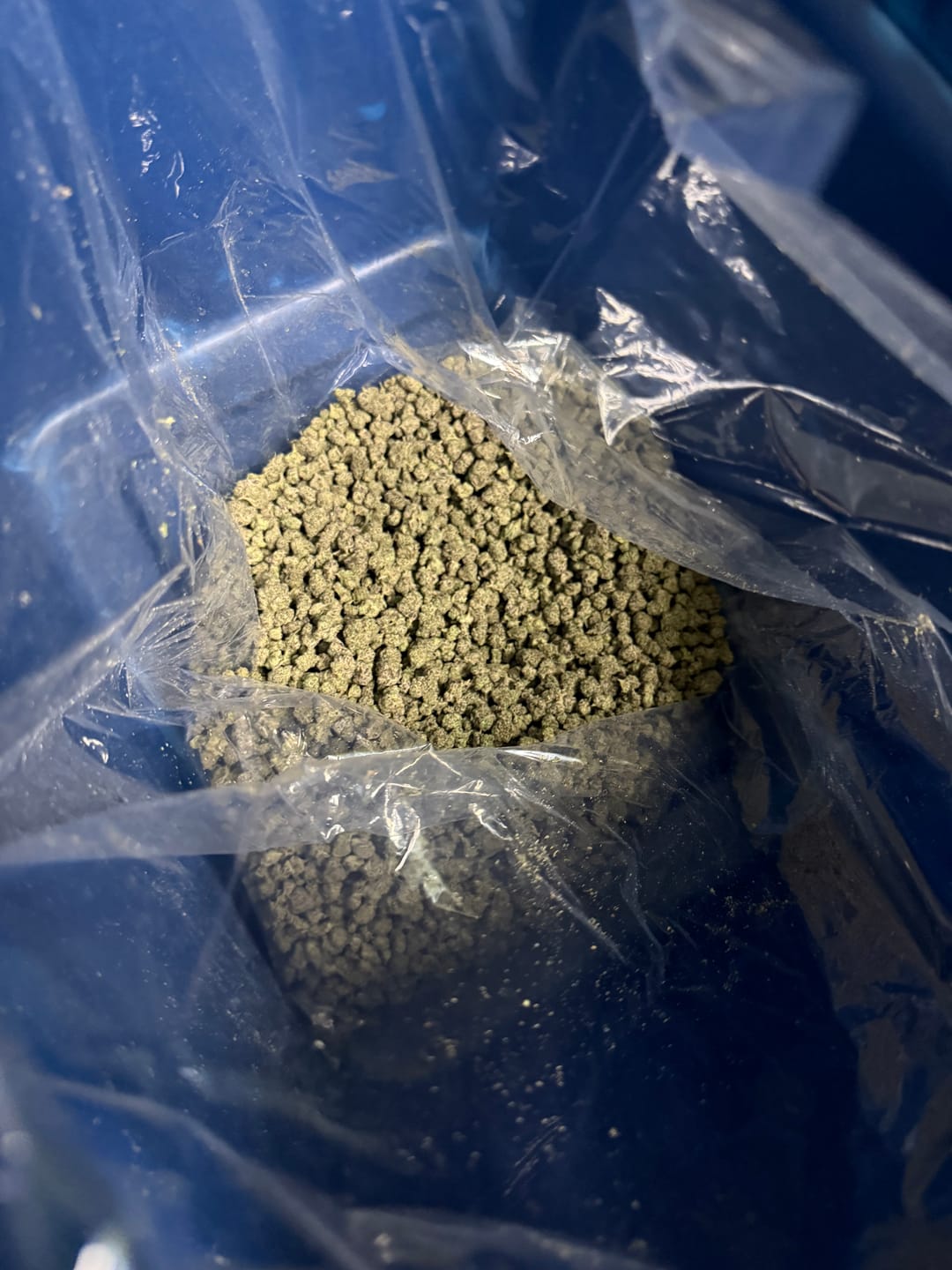 Customer photo review of Boutique Exotics Berry Pop Minis - Bulk Minis - Hybrid