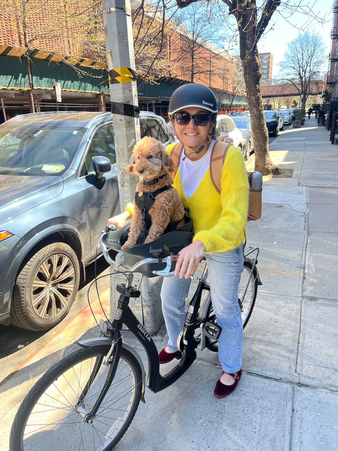Customer photo review of Kvisp Dog Bike Carrier