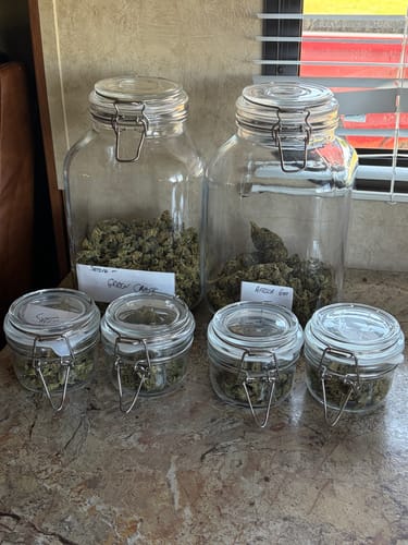 Customer photo review of Cheap THCA Flower Ounce