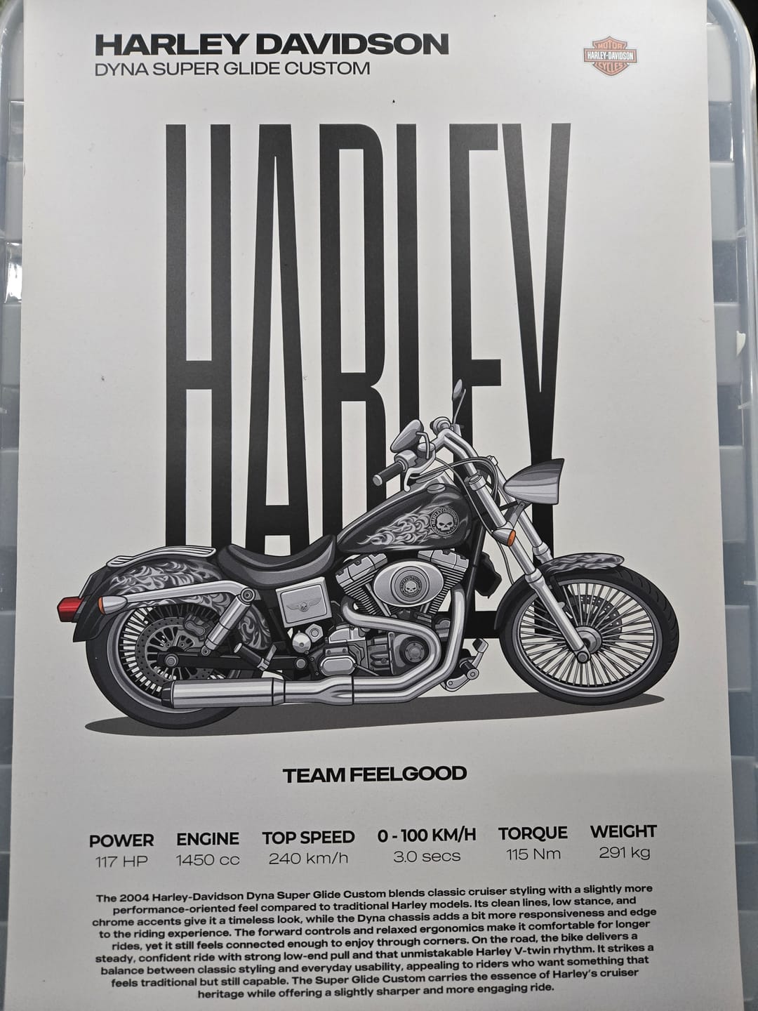 Customer photo review of Custom Motorcycle Illustration Artwork – Artist Handmade