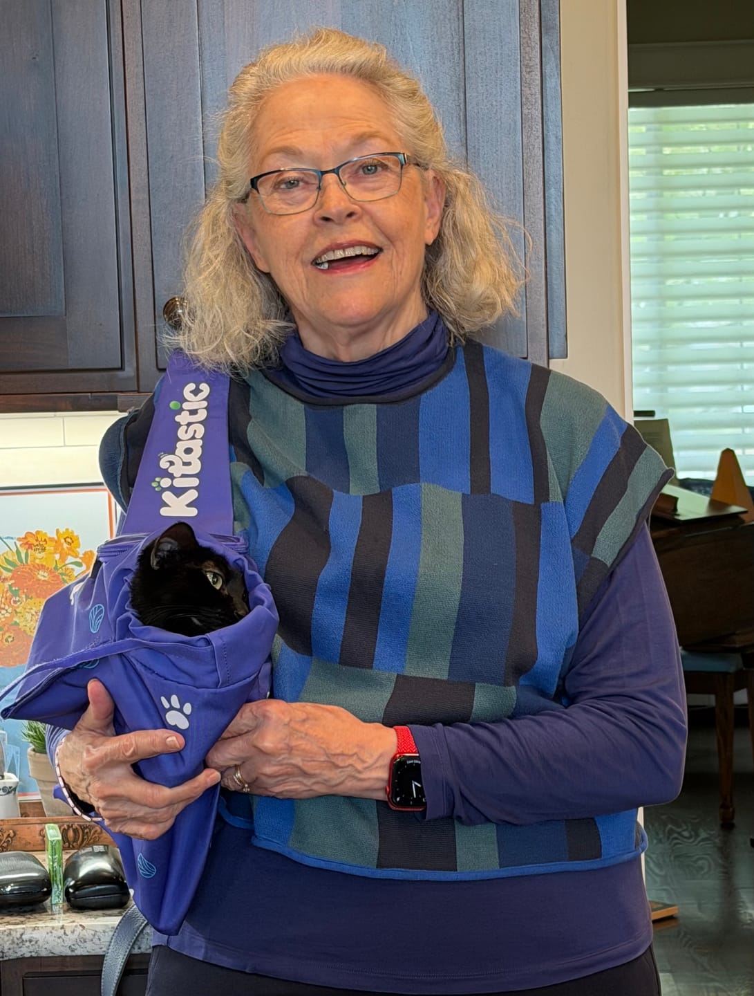 Customer photo review of Kitastic Cat Carrier