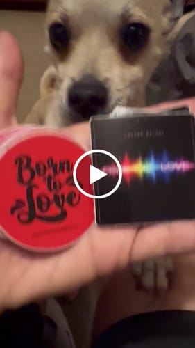 Customer video review of 150 Custom 2" Stickers for $29
