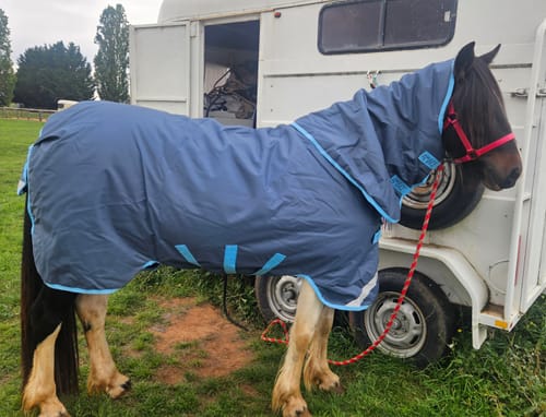 Customer photo review of Amigo AmEco 12 Plus 250g Turnout