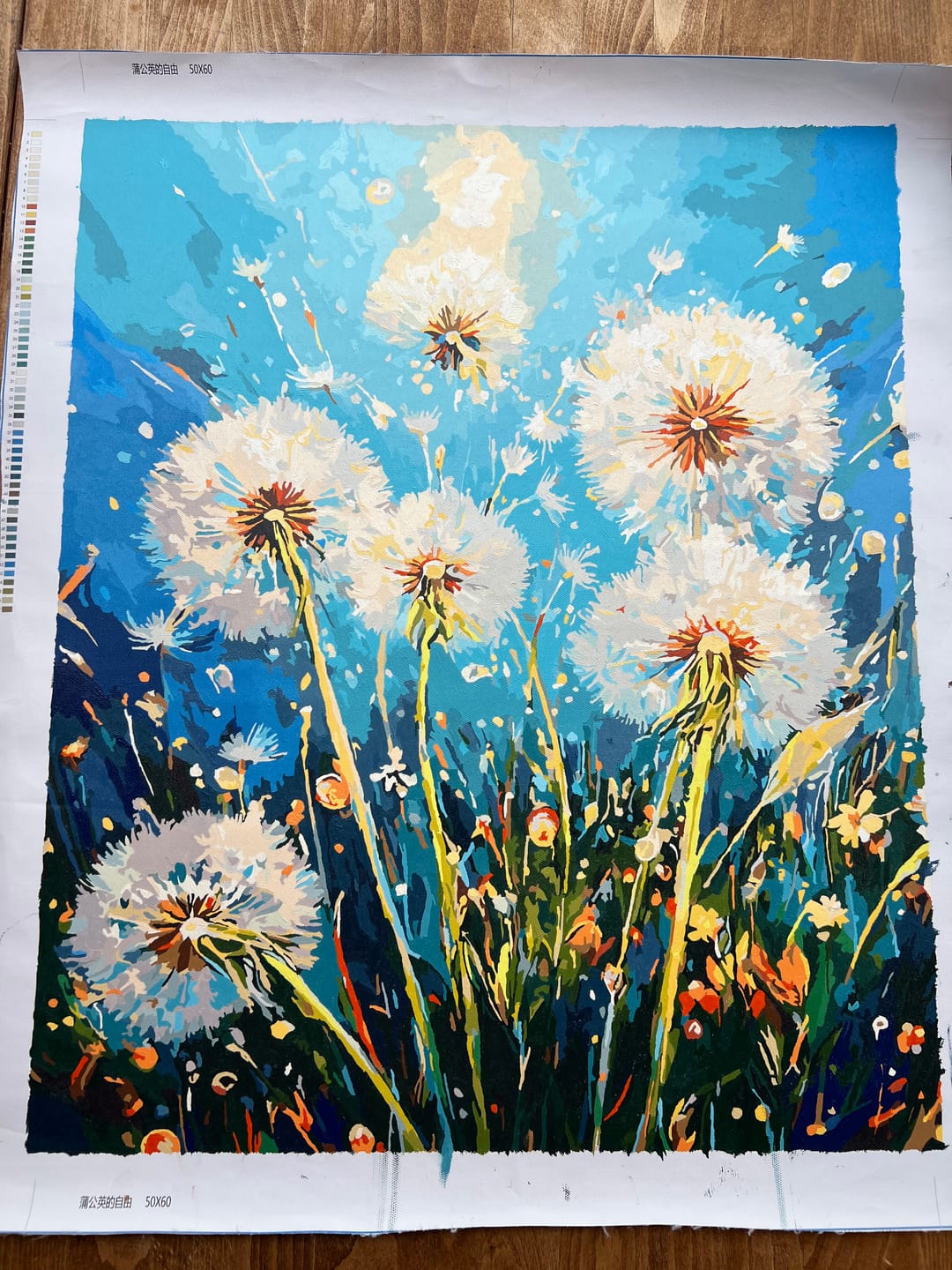 Customer photo review of Free Dandelion