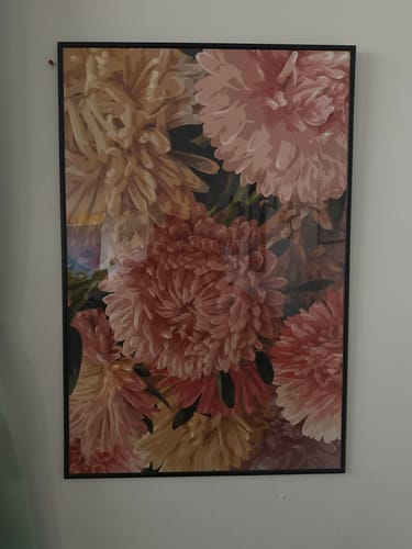 Customer photo review of Yellow-Pink Mums  (Smard X Anaya)