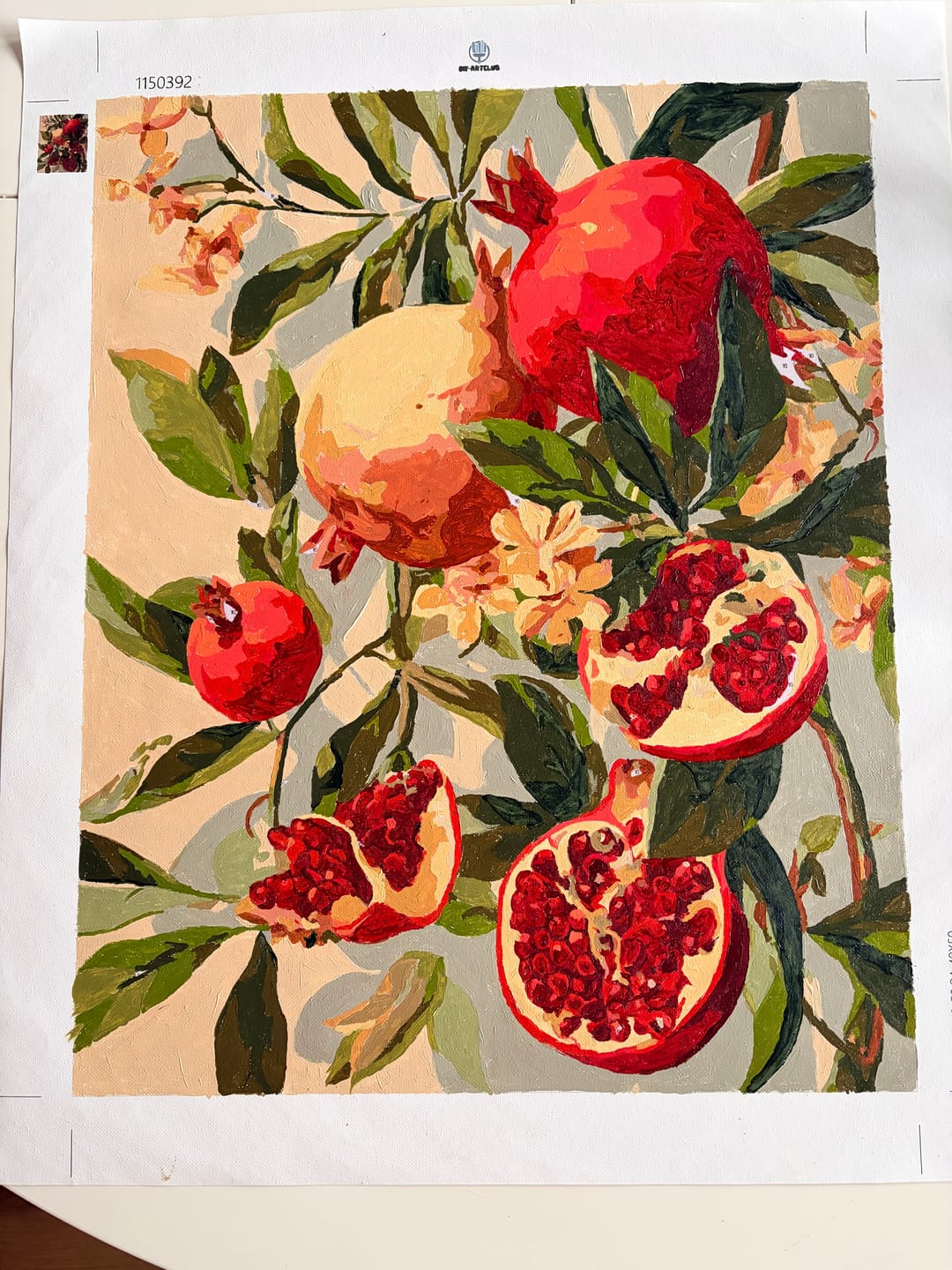 Customer photo review of Blooming pomegranates | Paint by Number