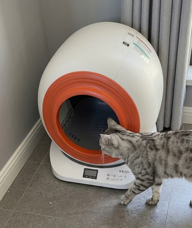 Customer photo review of The Petbuds Tonepie Q-CLEAN Automatic Self-Cleaning Litter Box