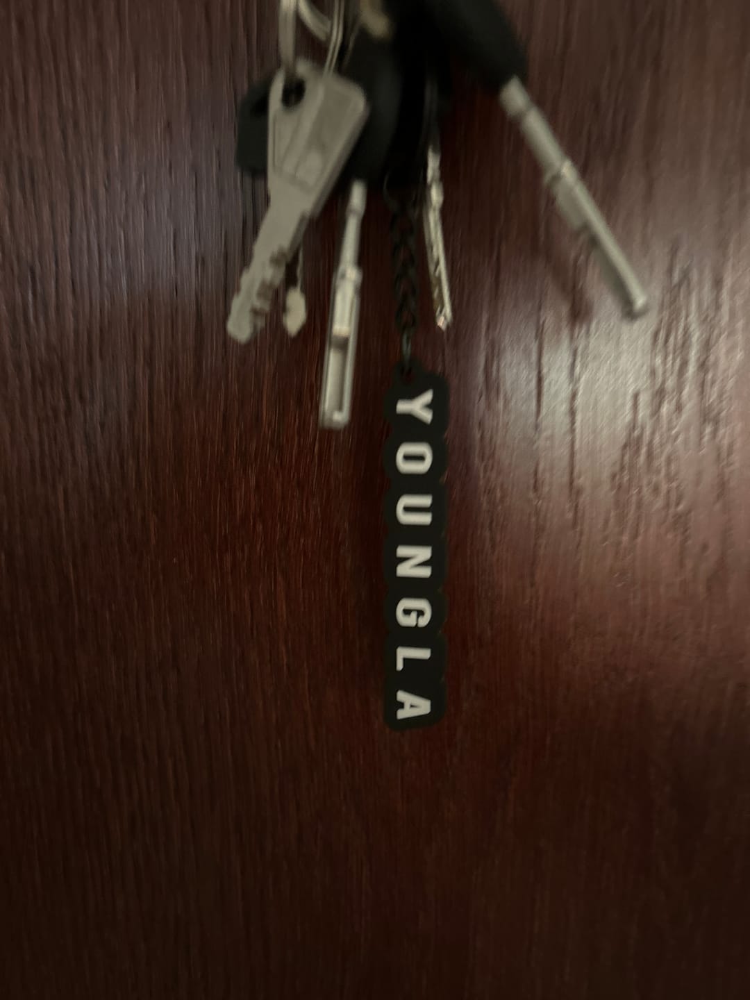 Customer photo review of 931 YoungLA Keychains