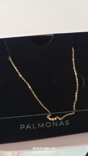 Customer photo review of Dainty Textured Chain Necklace