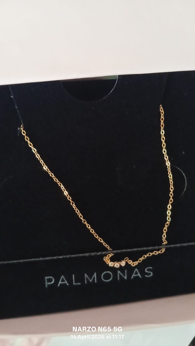Customer photo review of Dainty Textured Chain Necklace