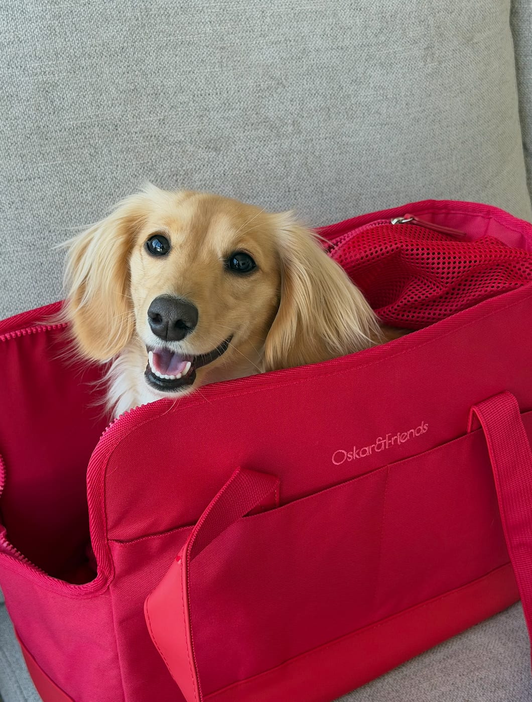 Customer photo review of Rouge Berry Pet Tote Bag