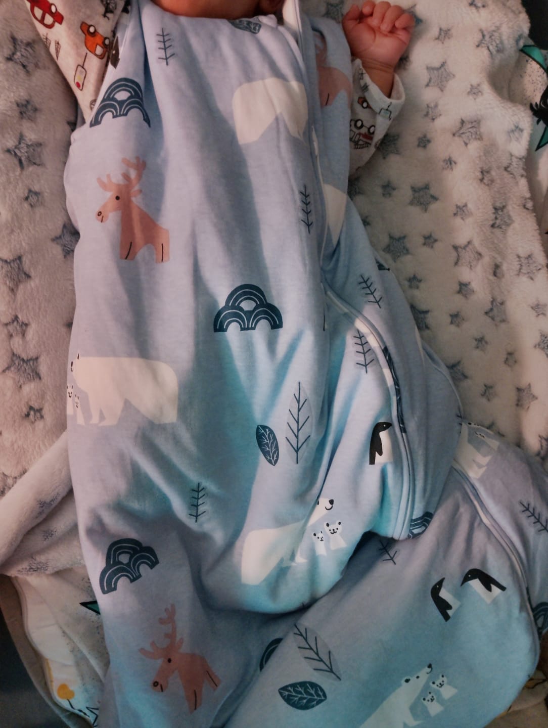 Customer photo review of Saco de Dormir Gota Tog 2.5 Antártica