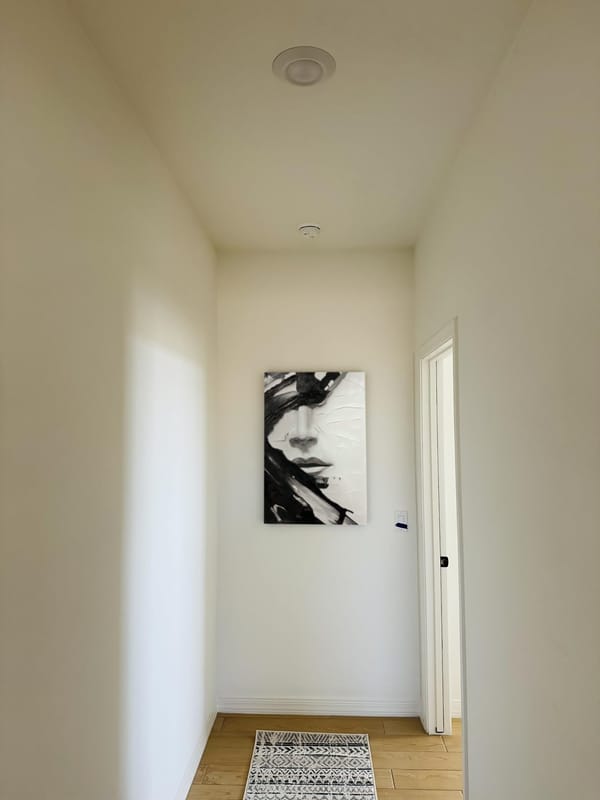 Customer photo review of Abstract Portrait Textured Wall Art #PB006