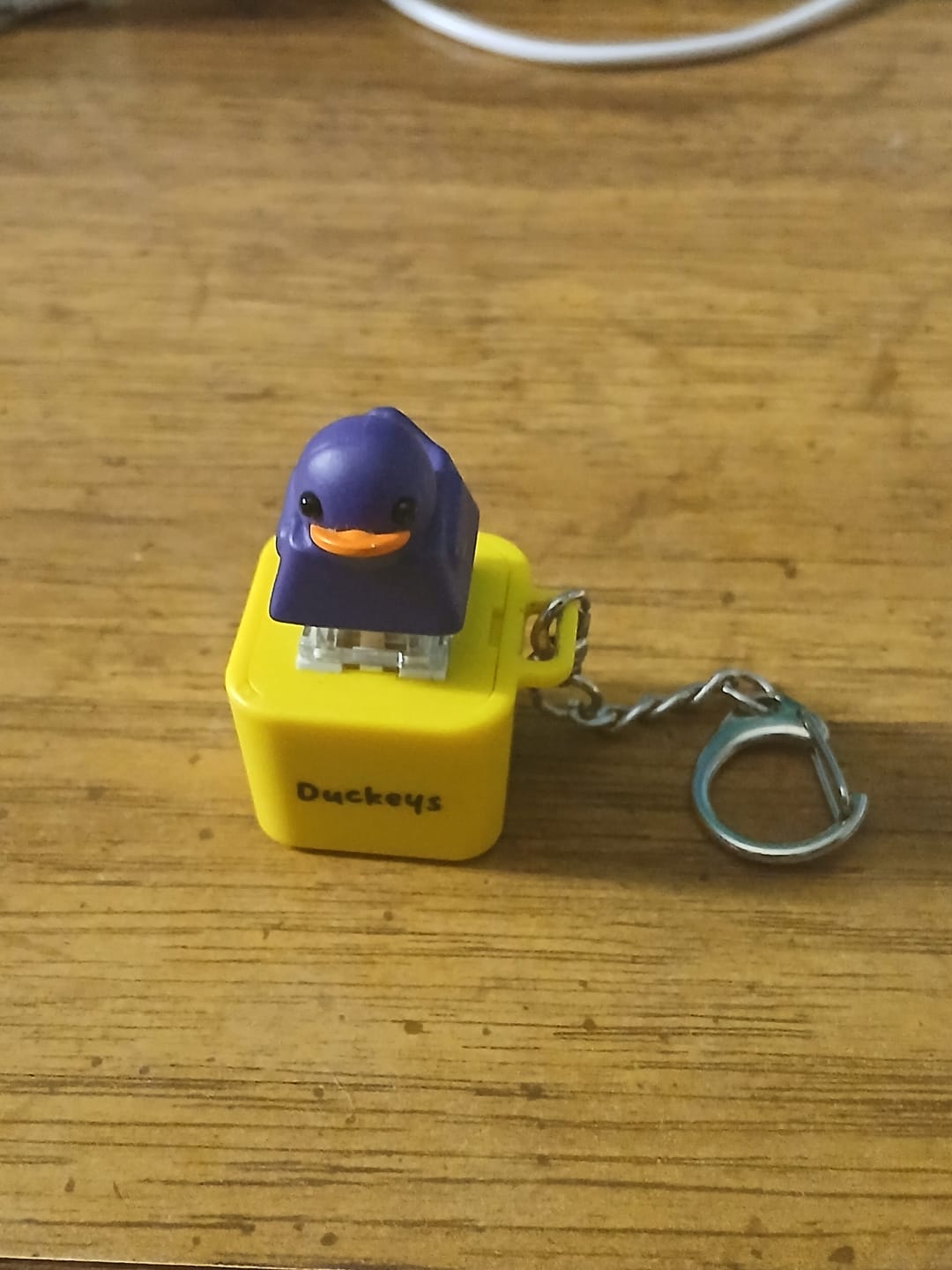 Customer photo review of Quackey - Fidget Toy that Quacks!