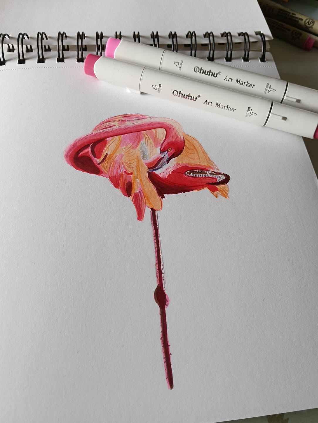 Customer photo review of Ohuhu Honolulu 72 Colors Dual Tips Alcohol Art Markers