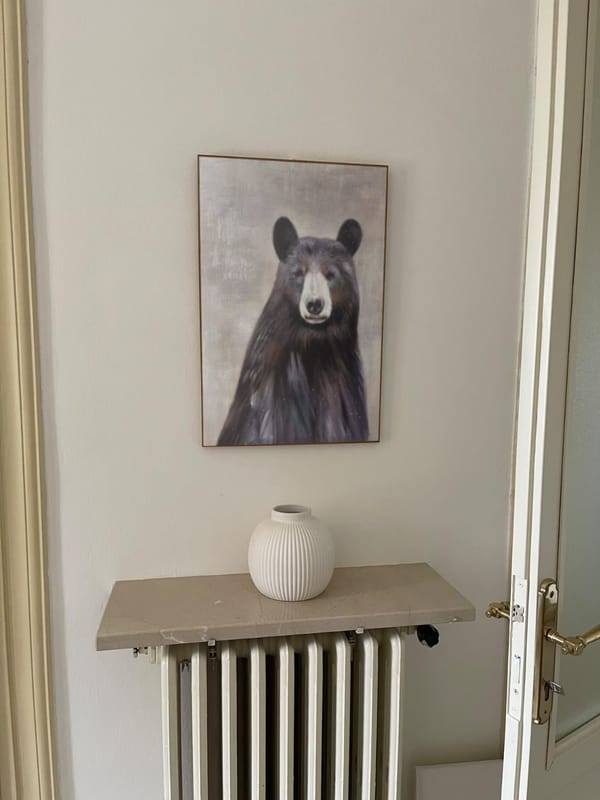 Customer photo review of Abstract Animal Wall Art #DL003
