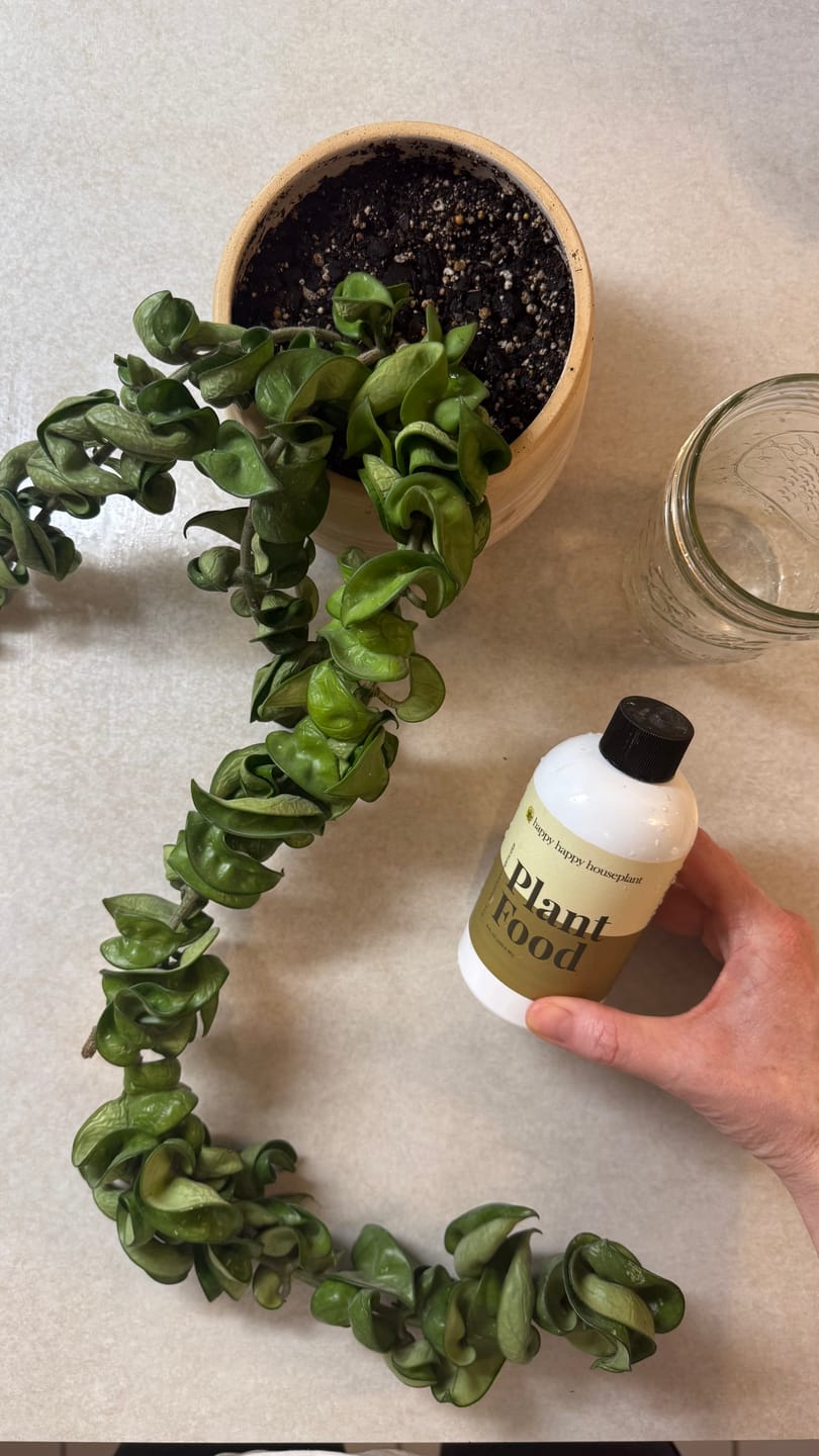Customer photo review of Plant Food