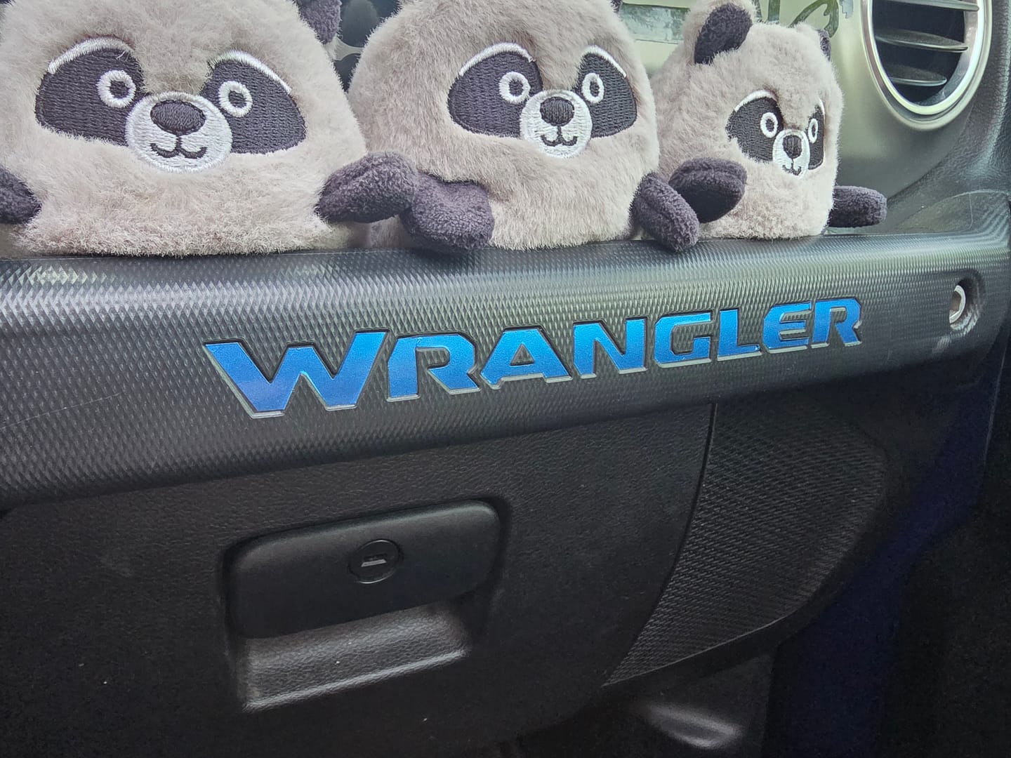Customer photo review of WRANGLER Grab Bar Inlay Decal | Fits Wrangler JL